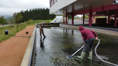 Accessoire piscine ecologique